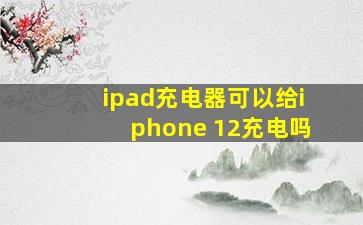 ipad充电器可以给iphone 12充电吗